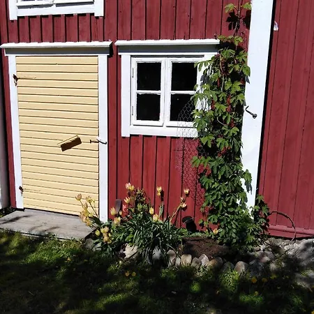 Bed & Breakfast Foggy Island