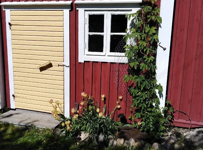 Bed & Breakfast Foggy Island